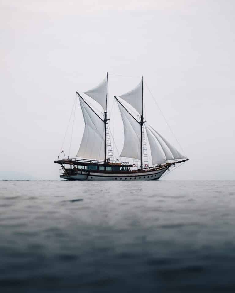 ph_senja_lowdef_sails_back_grey sky_portrait 1