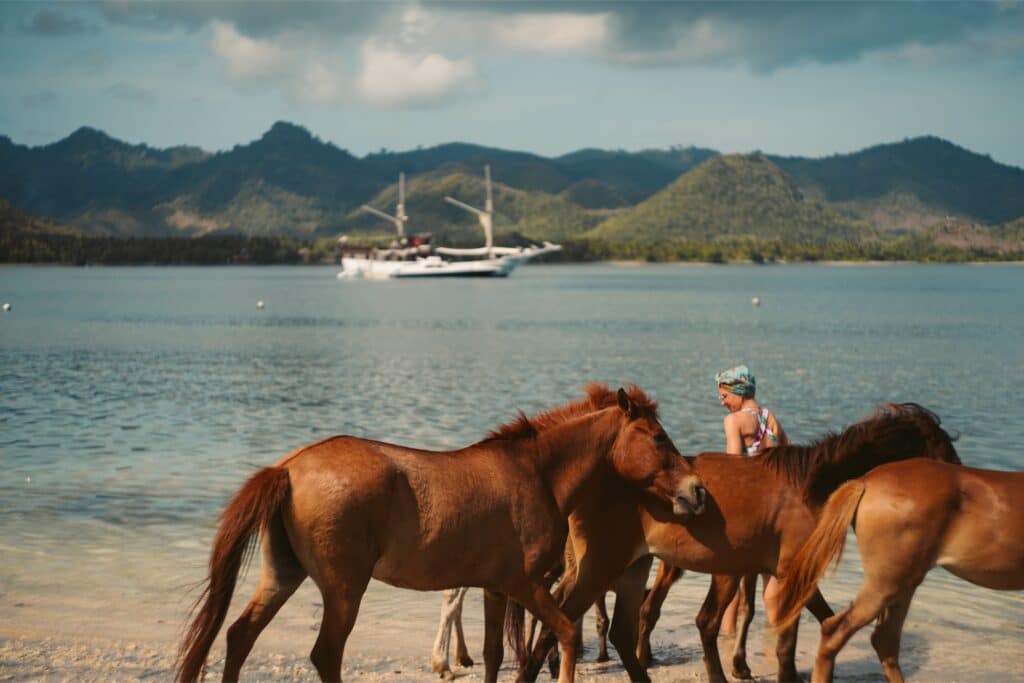 Ikan Kayu - Yacht Charter Indonesia - Luxury Boat Rental