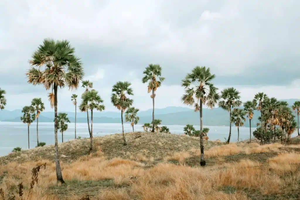 Samara II - Yacht Charter Indonesia - Luxury Boat Rental