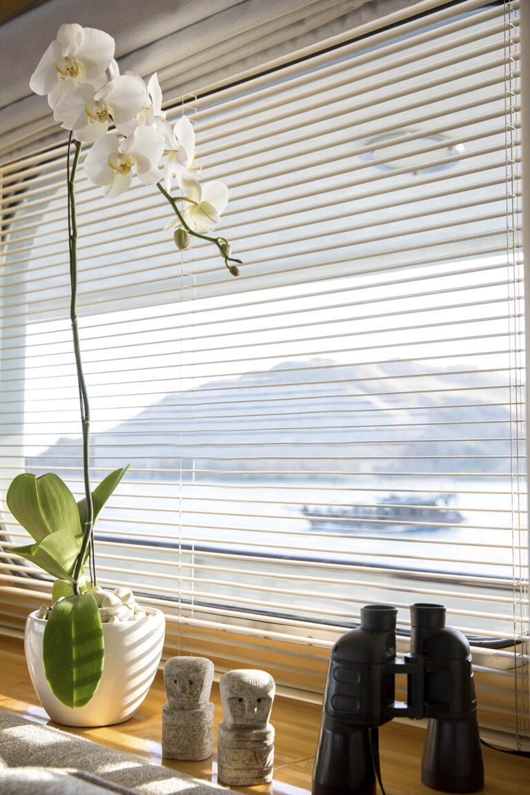 Aqua Blu - Details - 01