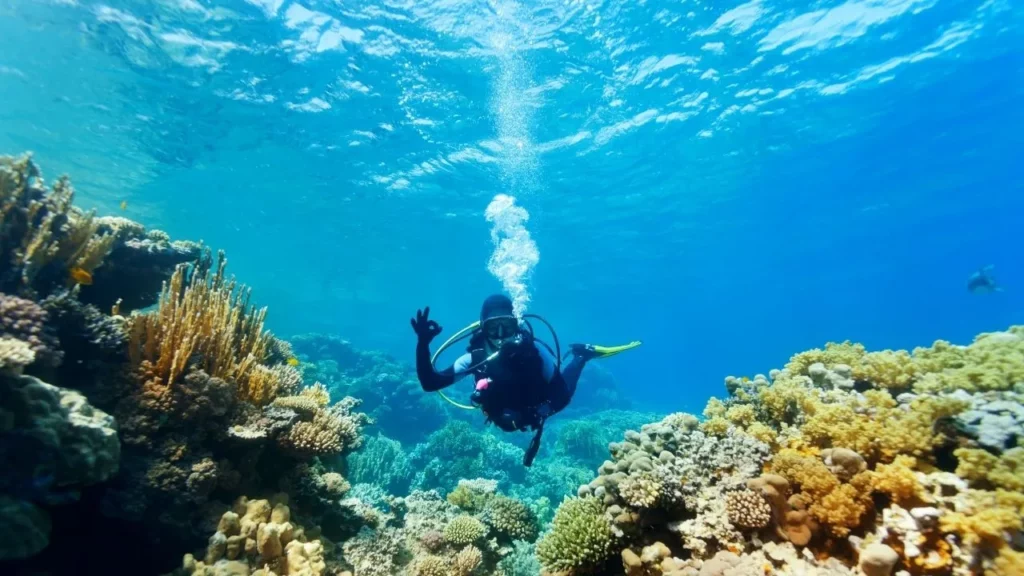 Diving in Raja Ampat: Top 5 Dive Sites and Best Time