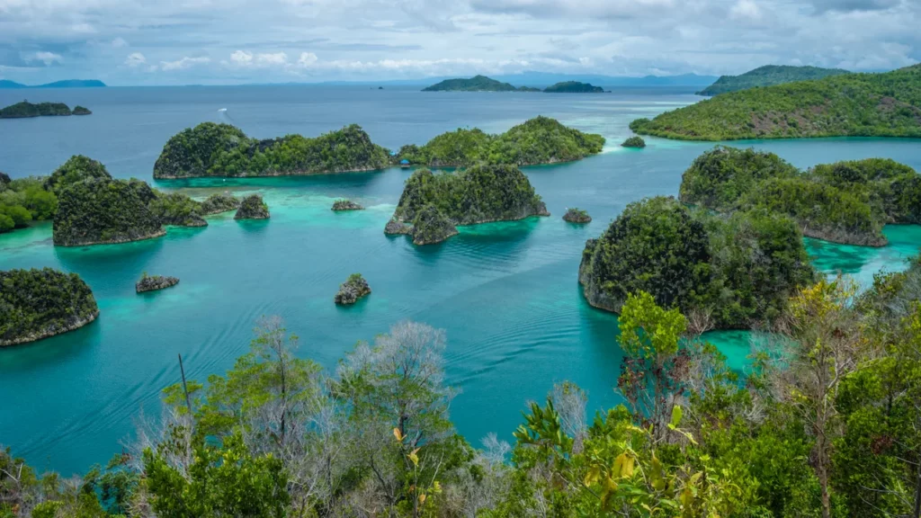 Why Visit Raja Ampat? Top 5 Reasons for Your Bucket List