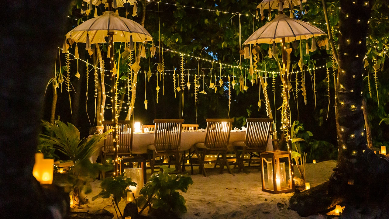 Best Yachts for Culinary Cruises - Rebel Yacht