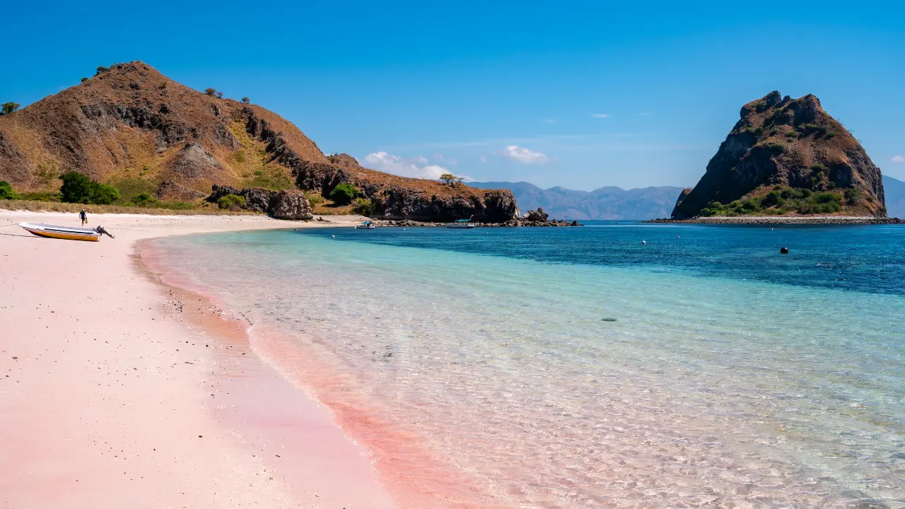 Why are the Beaches in Komodo Pink