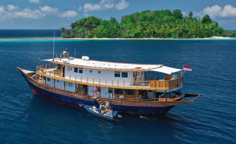 YCI - Rascal - Exterior (1)