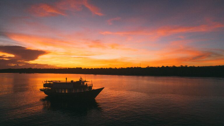 YCI - Rascal - Exterior (6)